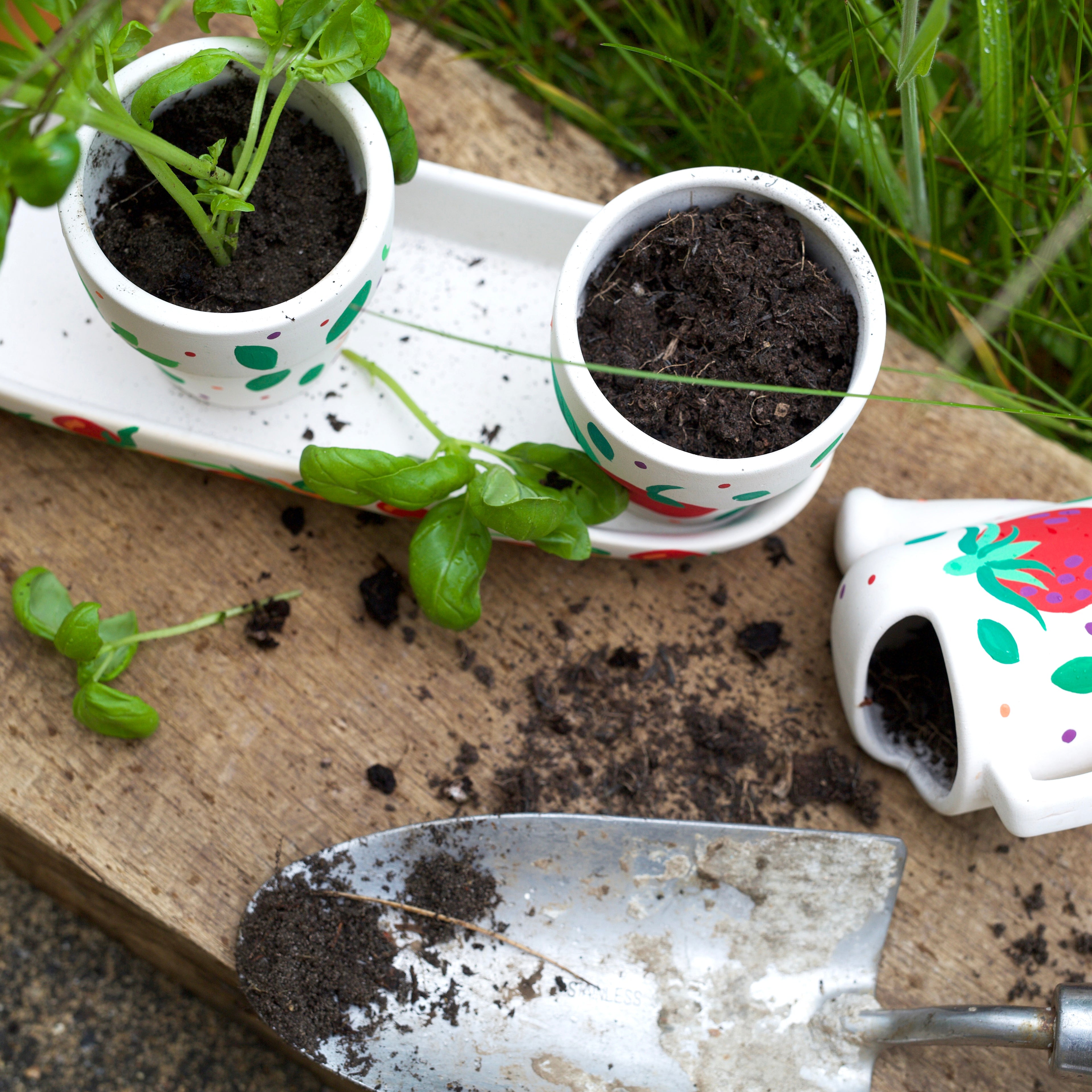 Royal Horticultural Society Collection