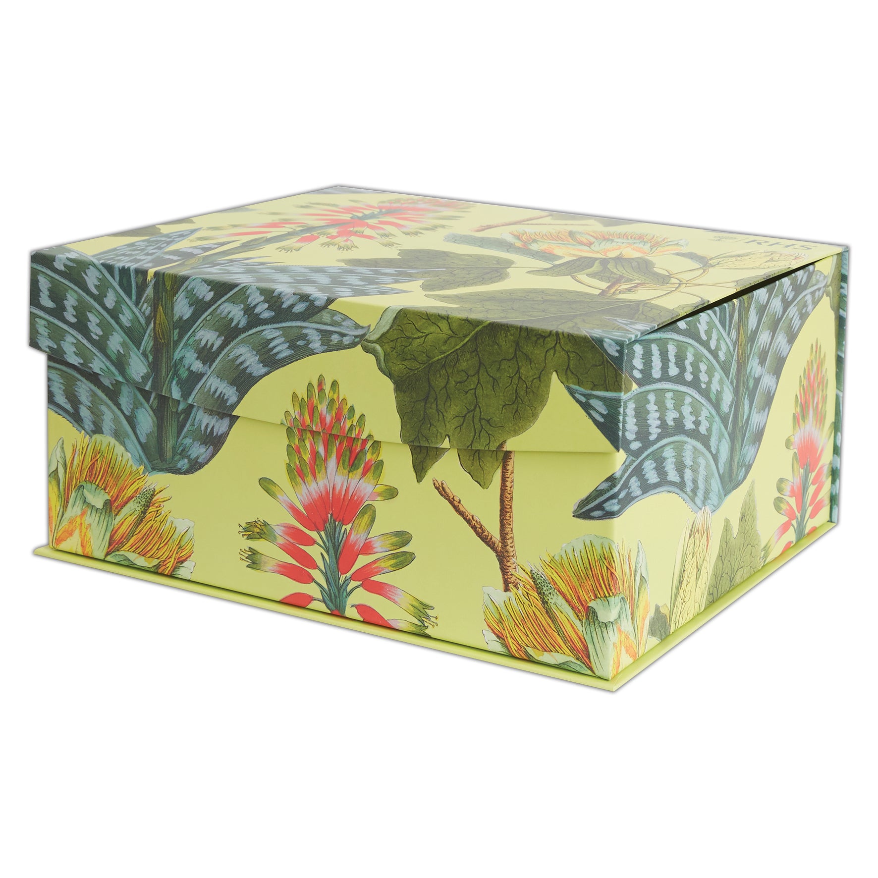 RHS Cardboard Storage Box Medium, Tropical Design, Storage, Gift Boxes